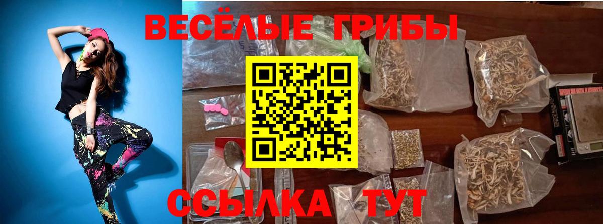 Псилоцибиновые грибы Psilocybine cubensis Тулун