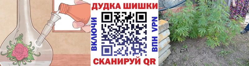 Канабис сатива  сколько стоит  Тулун 